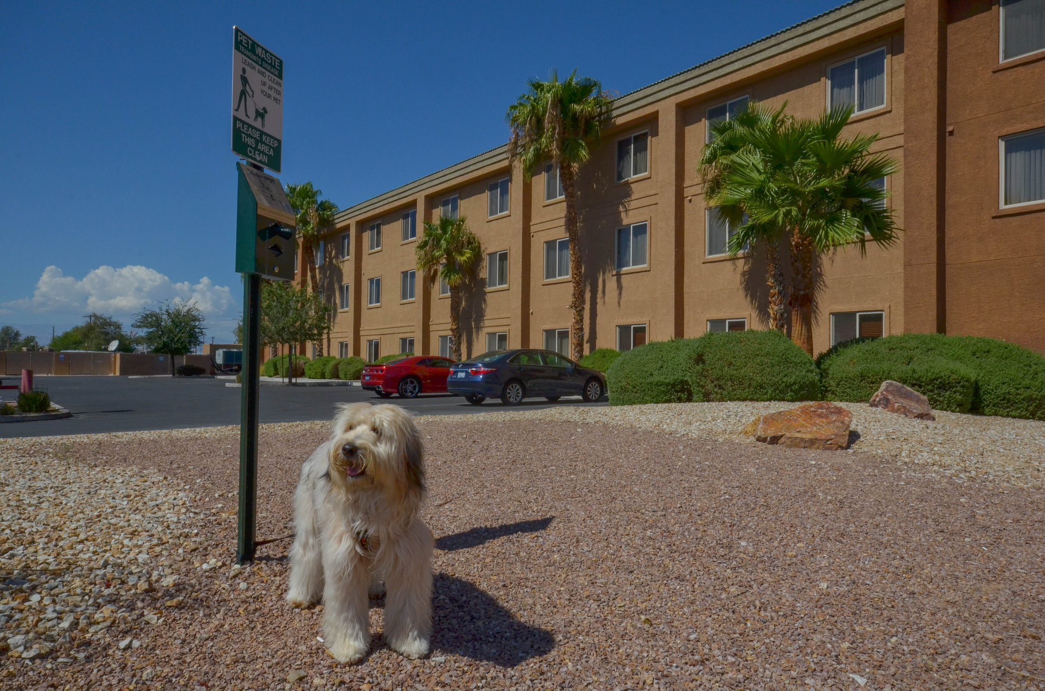 meeting-rooms-at-holiday-inn-express-las-vegas-nellis-4035-north