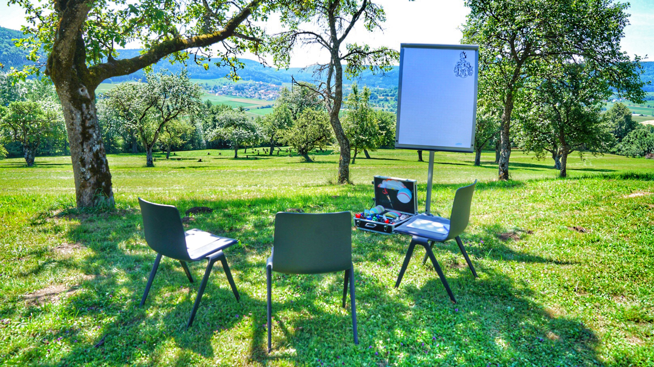 Meeting Rooms at Hotel Hofgut Hohenkarpfen, Am